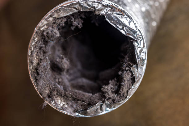 Best Best Air Duct Cleaning Company  in High Point, FL