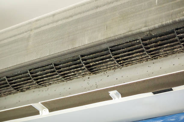 Trusted FL Airduct Cleaning Experts